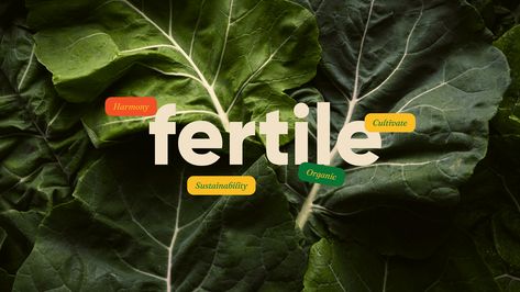 Organic Food Branding, Fruit Branding, Organic Branding Design, Fresh Branding, Sustainable Farm, Organic Branding, Green Branding, Fruit Company, Organic Market