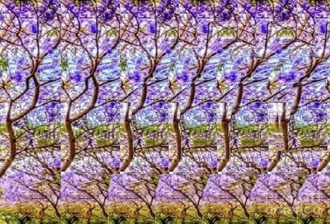 What do you see in this illusion art? Hidden 3d Images, Magic Eye Pictures, Happy Friday Eve, Eye Images, Friday Eve, 3d Images, Hidden Messages, Magic Eyes, Puzzle Art