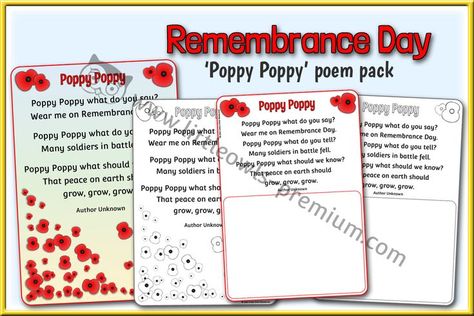 'POPPY POPPY' POEM PACK ‘Poppy Poppy’ poem poster, colouring and illustration sheets. Even more free Poppy themed resources on our 'Remembrance Day' page. We hope it helps! 😊 Little Owls Premium Poppy Poem, Poem Kindergarten, Poppies Poem, Nursery Practitioner, Poem Poster, Early Years Teacher, Remembrance Day Poppy, Little Owls, Remembrance Day