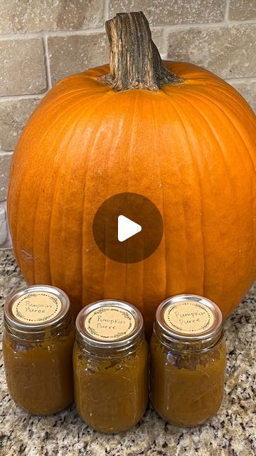 Collins Country on Instagram: "How to make & can pumpkin puree!🎃🫙 

Making pumpkin puree is SO EASY!!!! It only takes 1 ingredient and can be done with any kind of pumpkin! Pie pumpkins do have a slightly stronger pumpkin flavor, but jack-o’-lantern pumpkins are delicious and give you so much more puree per pumpkin! It’s cost effective to use bigger pumpkins! One large jack-o’-lantern pumpkin usually yields 13 pints!!!!!! A normal pie pumpkin usually yields 2-4 pints, depending on the size. Happy homesteading! 

#pumpkin #pumpkins #canning #fall #canningseason #homecanning #pressurecanning #selfsufficient #growyourownfood #farmtotable #tipsandtricks #moneysavingtips #pumpkinpuree #pumpkinpie" Preserving Pumpkin Puree, Diy Pumpkin Puree How To Make, How To Can Pumpkin Pie Filling, How To Can Pumpkin, Canning Pumpkin Puree, Canning Pumpkin, Making Pumpkin Puree, Can Pumpkin Puree, Preserving Pumpkins