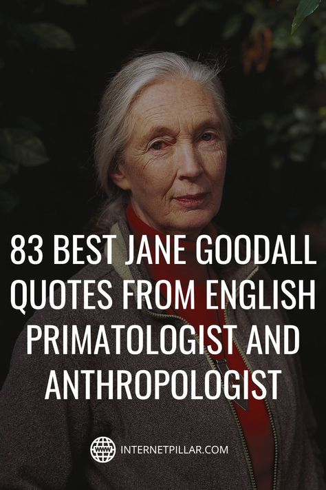 Jane Goodall Quote Difficult Woman, Calamity Jane Quotes, Famous English Quotes, Jane Goodall Quote, Jane Goodall Quotes, Calamity Jane, Jane Goodall, Think Deeply, Spiritual Power