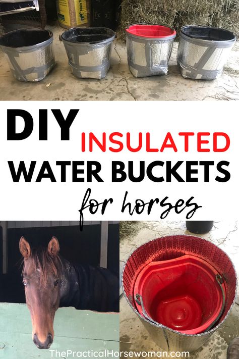 Diy Horse Barn Ideas, Horse Barn Hacks, Horse Water Trough, Horse Barn Ideas, Horse Hacks, Horse Feeder, Horse Tack Rooms, Horse Nutrition, Barn Layout