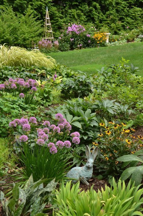 Allium Millenium Landscaping, Nurture Landscapes Garden, Northeast Perennial Garden, Allium Companion Plants, Hosts Companion Plants, Aconitum Carmichaelii, Modern Farmer, Garden Edging, Fine Gardening