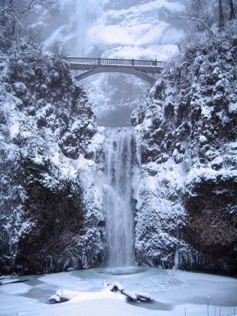 The 8 Best Winter Drives Through Scenic Byways In Oregon Multnomah Falls Oregon, Oregon Winter, Gorge Oregon, Columbia Gorge, Multnomah Falls, Christmas Aesthetic Wallpaper, Wallpaper Collage, Christmas Phone Wallpaper, Scenic Byway