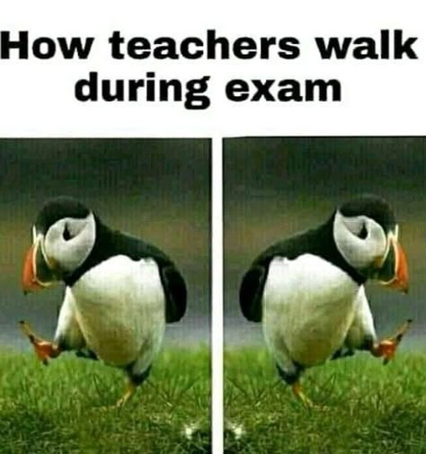 True👅 Drawing Ideas Funny, Exams Funny, Best Memes Ever, Exam Quotes Funny, Funny Cartoons Jokes, Funny Disney Jokes, Funny Texts Jokes, School Quotes Funny, Funny School Jokes