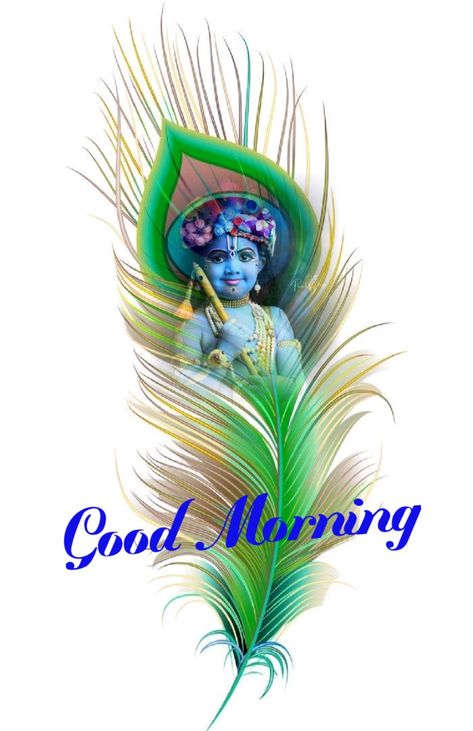 Good Morning Krishna Images, Good Morning Dp, Thursday Good Morning Images, Friday Good Morning Images, Krishna Good Morning, New Good Morning Images, Good Morning Rose Images, Good Morning Cartoon, Good Night Friends Images