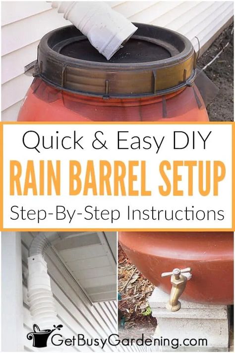 Collecting Rainwater, Rain Barrel Stand, Rain Diverter, Rain Barrel System, Water Survival, Rain Harvesting, Edible Landscape, Rainwater Collection, Water Barrel