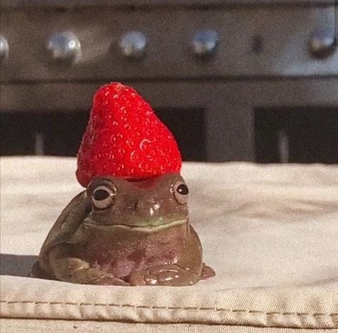 Frog With Strawberry, Cute Frog