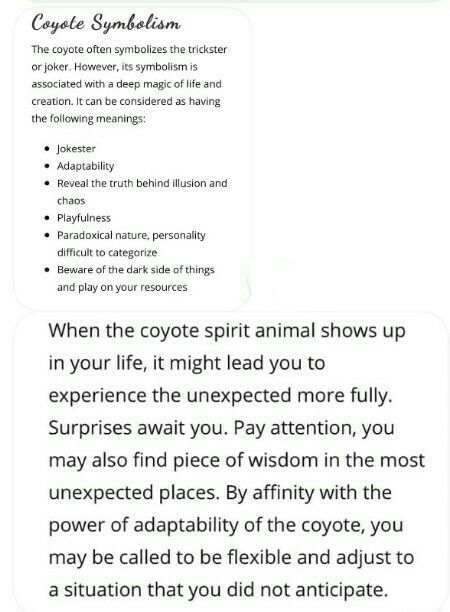 Coyote Symbolism Coyote Symbolism, Halloween Meaning, Bone Witch, Coyote Animal, Supernatural Creatures, Animal Guides, Animal Symbolism, Spirit Animals, Crystals Healing Properties