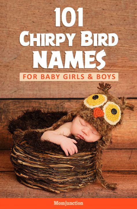 Let your baby name-hunting take a flight with MomJunction’s collection of bird names for girls and boys. Mexican Baby Girl Names, Double Barrel Baby Names, Double Girl Names, Baby Boy Middle Names, Mexican Baby Girl, Romantic Girl Names, Bird Names, Top Baby Girl Names, Indian Baby Names