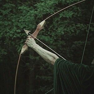 Cʀᴏᴡɴʟᴀɴᴅs ʟ ғᴇᴍᴀʟᴇ ᴡᴀʀʀɪᴏʀ Elf Aesthetic, An Arrow, Elf, Forest