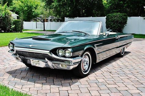 1965 Thunderbird, Thunderbird Car, Ford Thunderbird Convertible, Thunderbird Convertible, Old American Cars, Ford Maverick, Ford Thunderbird, Classic Cars Trucks, Exotic Cars