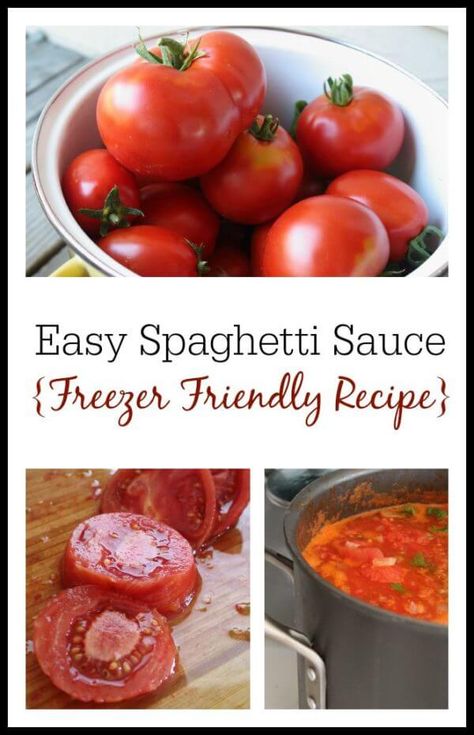 Freezer Spaghetti Sauce, Make Spaghetti Sauce, Easy Spaghetti Sauce, How To Make Spaghetti, Spaghetti Sauce Recipe, Homemade Spaghetti Sauce, Easy Spaghetti, Fresh Tomato Sauce, Homemade Spaghetti