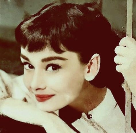 Couler Pallets, Barristers Ball, Audrey Hepburn Hair, Sabrina 1954, Feminine Icons, Aubrey Hepburn, Audrey Hepburn Photos, Celebrities Photos, Audrey Hepburn Style