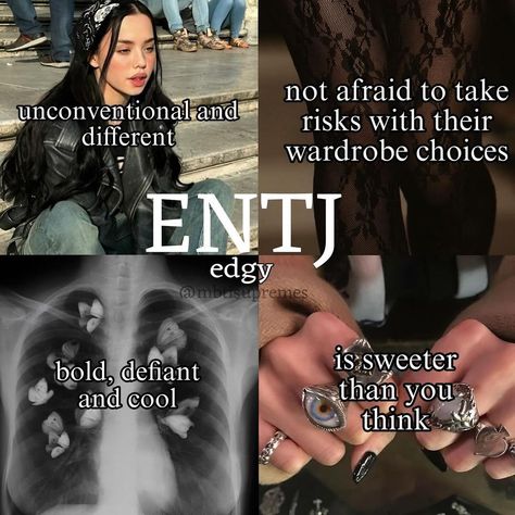 Entj Personality Women, Entj Women Aesthetic, Entj Girl, Entj Vibes, Entj Female, Entj Core, 16 Personalities Intj, Entj Aesthetic, 16 Personalities Enfp