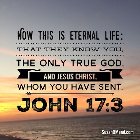 Verse of the Day:  John 17:3 And this is eternal life that they may know you, the only true God, and Jesus Christ whom you have sent.   Do you know the Lord? Knowing who he is, i… God And Jesus, Life Quotes Love, Jesus Is Lord, Praise And Worship, Eternal Life, News Website, Lord Jesus Christ, Spiritual Inspiration, Verse Quotes