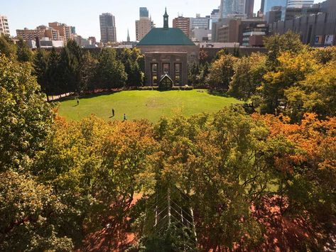 Ryerson University Aesthetic, Toronto Metropolitan University, Canada Fall, Ryerson University, Toronto Life, Fall 2023, In The Heart, Quad, Toronto