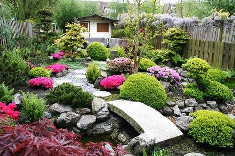 Creating a Japanese garden. Making a Japanese style Garden Japanese Garden Backyard, Japanese Garden Style, Sloping Garden, Japanese Inspired Garden, Japanese Plants, Small Japanese Garden, Japanese Style Garden, Japanese Garden Landscape, Zen Garden Design