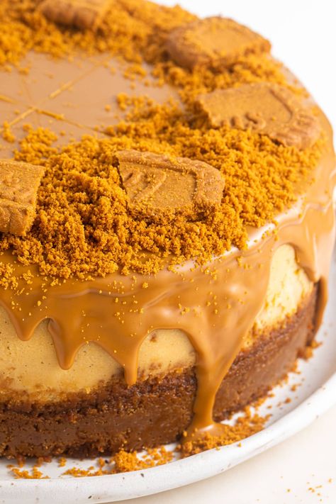 Adorable Desserts, Lotus Biscoff Cheesecake, Speculoos Cookie Butter, Cookie Cheesecake, Creative Dessert Recipes, Biscoff Cheesecake, Yummy Cheesecake, Biscoff Cookie Butter, Cheesecake Toppings