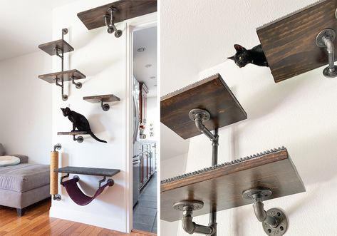 Cat Shelves Diy Climbing Wall, Diy Catification, Cat Playroom, Diy Cat Wall Ideas, Cat Room Diy, Industrial Pipe Decor, Diy Climbing Wall, Cat Projects, Cat Climbing Wall