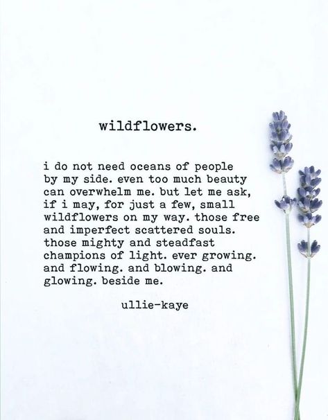 Ullie Kaye, Wild Flower Quotes, Flower Quotes, Poetry Words, Yoga Quotes, Nature Quotes, Quotable Quotes, Reality Quotes, Love Words