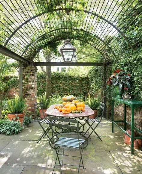 Iron Pergola, Pergola Diy, Metal Pergola, Pergola Design, Garden Vines, Outdoor Dining Room, Garden Wallpaper, Wooden Pergola, Backyard Pergola