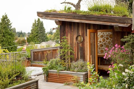 Backyard Sauna and Shower - Rustic - Patio - Seattle - by Alex Crook Photography | Houzz Backyard Sauna, Tiny Backyard, Seattle Photos, Rustic Patio, Greenhouse Shed, Backyard Office, Outdoor Sauna, Cold Frame, Workout Rooms