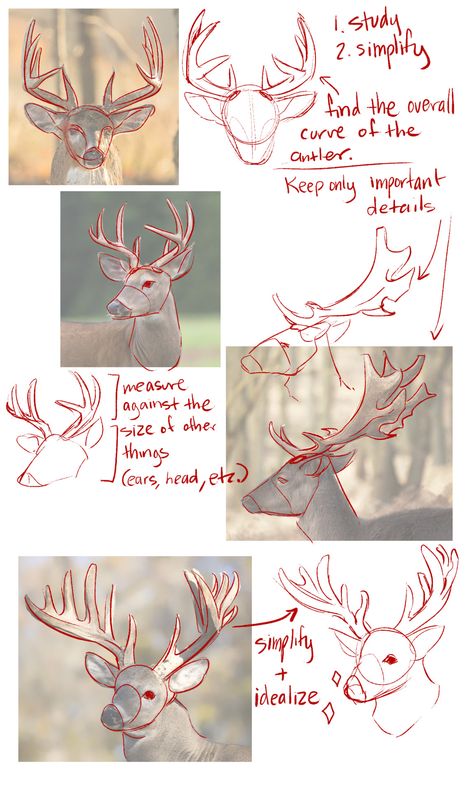 Antler Art Drawing, Deer Drawing Easy, Antler Drawing, Antlers Drawing, Draw Deer, Deer Drawing, Futuristic City, Deer Antlers, Art Tutorials Drawing