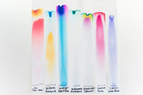 What Is Fountain Pen Ink Chromatography? | Fountain Pen Love Fountain Pen Ink, Pen Ink, Fountain Pen, Base Colour, Pen And Ink, Different Colors, Activities For Kids, Bullet Journal, Pen