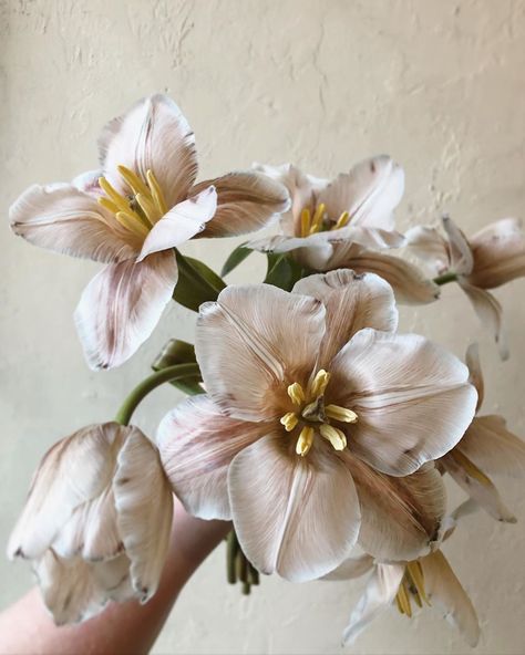 Flowers In House, Brownie Tulip, Brown Tulips, Colour Palate, Neutral Wedding Flowers, Tulip Wedding, Dye Flowers, Neutral Wedding, Floral Studio