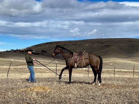 "[T]his is a mindset of being flexible and creative — of listening to the horse and trying to figure out solutions … it is recognizing that so much of owning or even leasing horses is about constant learning and spending time with them, not just about time in the saddle in the arena or at a show." This week's Thoroughbred Logic touches on how owning a Thoroughbred is often an adventure in and commitment to becoming a better horse person. Read on for more. Leasing Horses, Being Flexible, Training Ideas, Thoroughbred Horse, Fox Hunting, The Arena, Horse Training, About Time, Thoroughbred