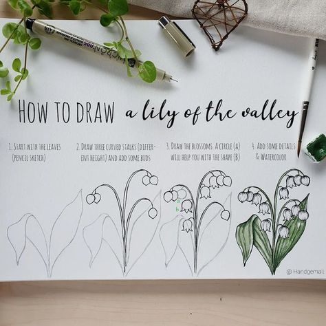 Anastasia Sälinger on Instagram: "How to draw a lily of the valley in four easy steps! 🖌 Swipe left for a coloring video! I'd love to see your versions of this flower 😍 Don't forget to tag me & use the hashtag #artwithhandgemalt so I can repost some of them in my stories! By the way, you'll find more floral step-by-step tutorials in both of my watercolor books (link in bio-description*ad) ❤ Lots of love, Anastasia! ~•~•~• [🇩🇪] Heute habe ich euch ein Maiglöckchen mitgebracht 😉❤ Wischt nach Drawing Planner, Flourish Calligraphy, Coloring Video, Painting Flowers Tutorial, Drawing Lessons For Kids, Flower Drawing Tutorials, Watercolor Books, Drawing Journal, Bullet Journal Design Ideas