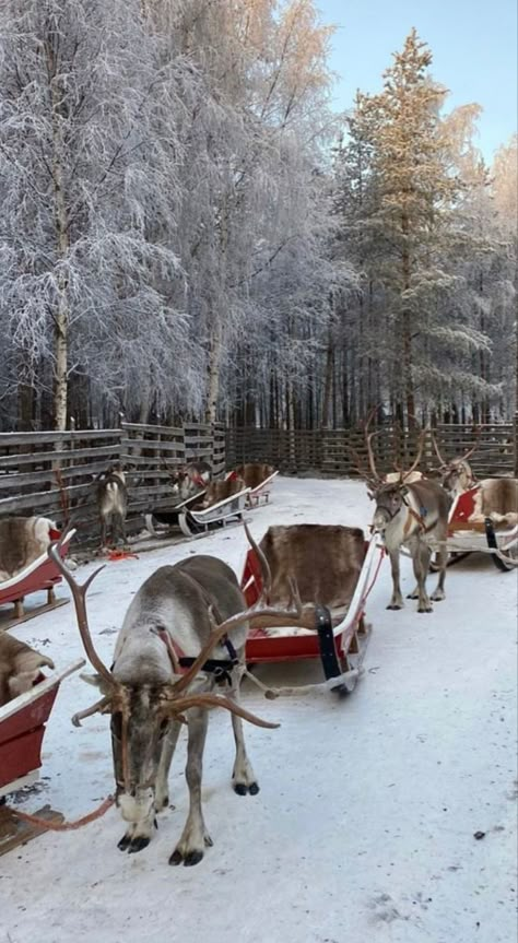 Christmas Animals Aesthetic, Mountain Christmas Aesthetic, Reindeer Wallpaper Aesthetic, Western Christmas Aesthetic, Snowy Wallpaper Aesthetic, Christmas Lockscreen Wallpapers, Soft Christmas Aesthetic, Snowy Christmas Wallpaper, Winter Lockscreens Aesthetic