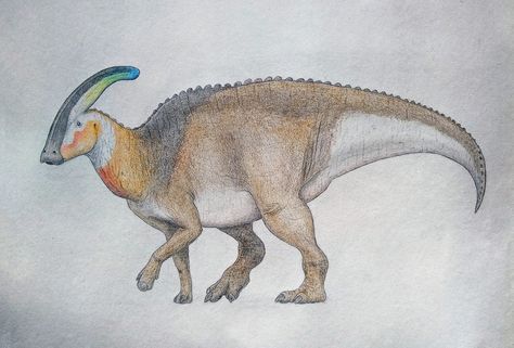 Dinosaur Parasaurolophus Art, Parasaurolophus Drawing, Parasaurolophus Art, Giant African Land Snails, Geology Art, Prehistoric Art, Paleo Art, The Good Dinosaur, Extinct Animals