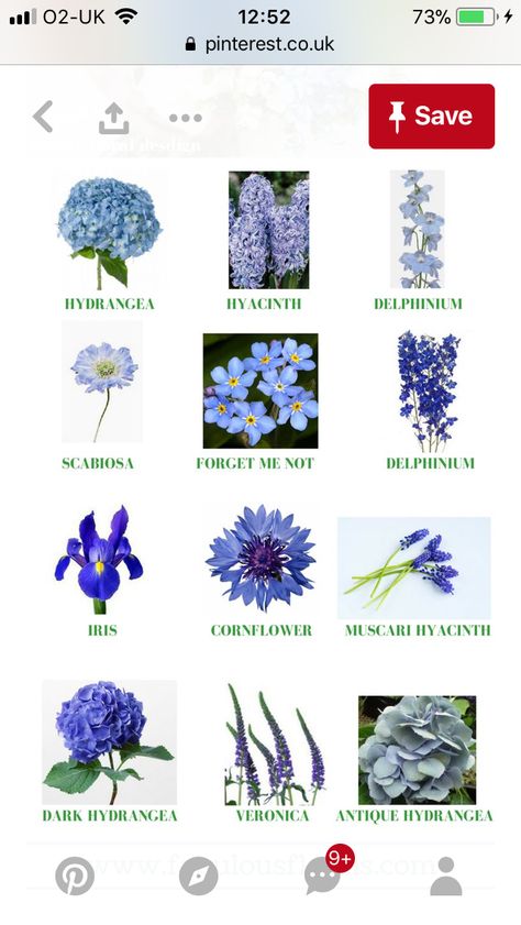 Blue Flower Names, Types Of Blue Flowers, Pretty Flower Names, Flower List, Chinoiserie Wedding, Simple Wedding Bouquets, Sunflower Illustration, Types Of Blue, Event Florals