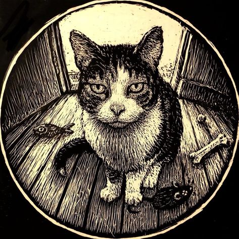 Decora Art, Black In White, Black And White Drawings, Cat Heaven, Round Wall Art, Cat Portrait, Arte Inspo, Arte Sketchbook, Cat Posters