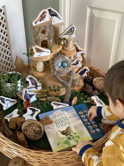 The Big Garden Bird Watch - Activities with Children | The Cosy Blog Big Garden Bird Watch Activities, Reggio Bird Provocation, Birds Activities Preschool, Forest School Activities, Eyfs Activities, Nature School, World Birds, Tuff Tray, British Wildlife