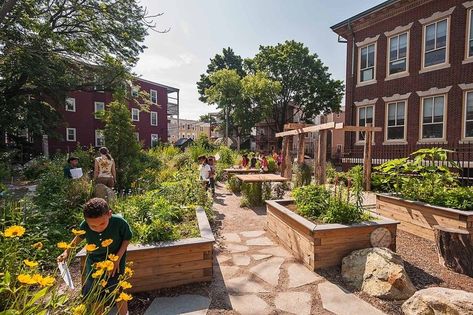 Boston Schoolyards Initiative — Klopfer Martin Design Group Guerrilla Gardening, Outdoor Learning Spaces, East Boston, Art And Writing, Pocket Park, South Boston, Healing Garden, Green Environment, Outdoor Classroom