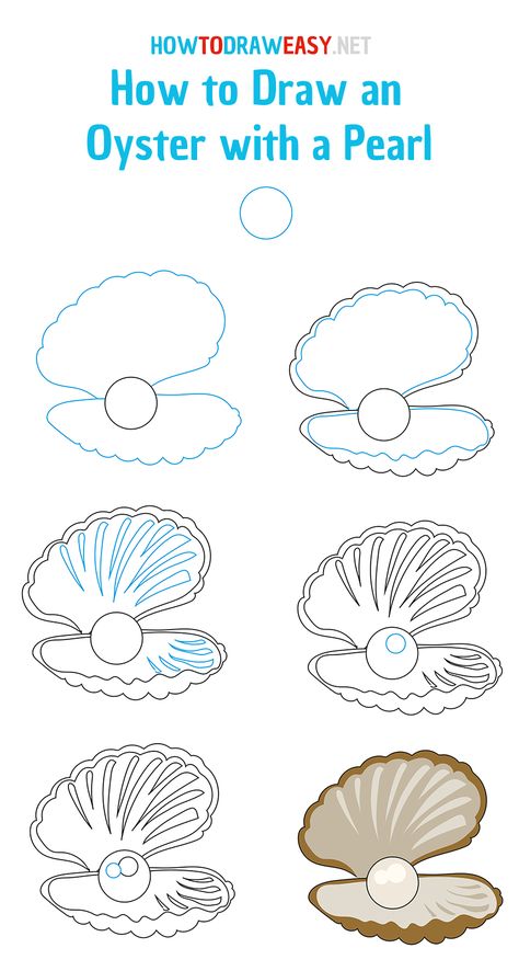 How to Draw an Oyster with a Pearl - How to Draw Easy Clam Drawing, Sea Shell With Pearl, Clam With Pearl, Pearl Drawing, Seashell Drawing, Shell With Pearl, Shell Drawing, Draw Easy, Drawing Tutorials For Beginners