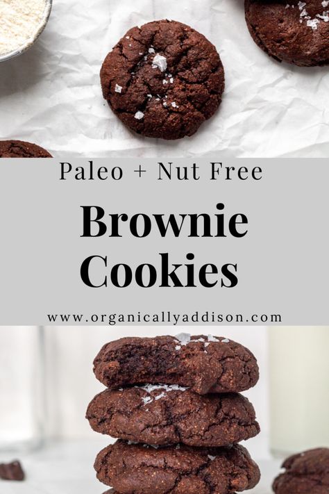 These Paleo Brownie Cookies are easy, healthy and delicious! They are Paleo, Gluten Free and Nut Free. The cookies are rich, intense, and filled with dark chocolate. A healthy dessert or baked good! #paleo #glutenfree #grainfree #nutfree #cookies #baking #recipe #recipeoftheday Nut Free Desserts, Paleo Brownies, Paleo Cookies, Paleo Recipes Dessert, Nut Free Recipes, Paleo Baking, Clean Eating Desserts, Paleo Sweets, Low Carb Dessert