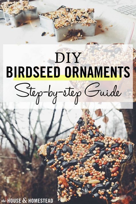 DIY Cookie Cutter Birdseed Ornaments Diy Bird Seed Favors, Christmas Bird Seed Craft, Bird Seed Gift Ideas, How To Make Birdseed Ornaments, Bird Seed Christmas Ornaments, Homemade Bird Seed Ornaments, Homemade Birdseed Ornaments, Bird Seed Feeders Homemade, How To Make Bird Seed Ornaments