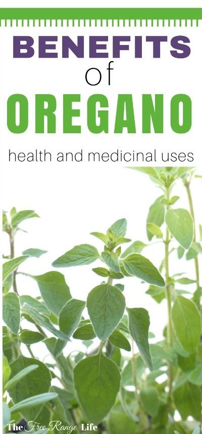 Oregano is more than just a culinary herb. It is a powerful medicinal plant with many health benefits. Do you know the all the uses and benefits of oregano? Benefits Of Oregano, Oregano Oil Benefits, Gardening Herbs, Tomato Nutrition, Lemon Benefits, Herb Gardening, Coconut Health Benefits, Oregano Oil, Natural Antibiotics