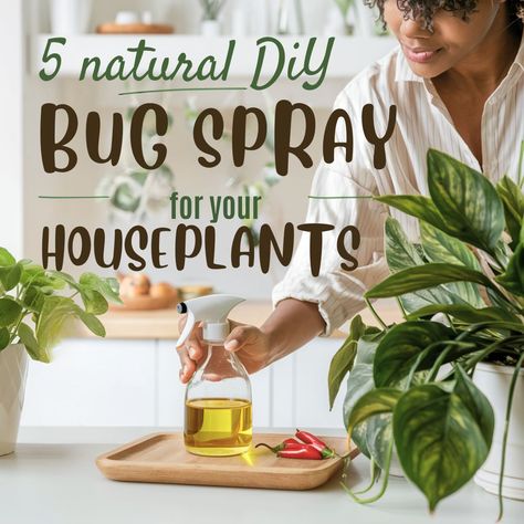 Ever noticed those tiny, pesky bugs hanging out on your houseplants and wished there was a simple way to get rid of them? You're in luck! 🪴 I've discovered some amazing natural DIY bug sprays Mealybugs How To Get Rid, Natural Bug Repellent For Home, Diy Insect Repellent, Natural Bug Killer, Gnats In House Plants, Bug Repellent Spray, Diy Bug Spray, Bug Killer, Inside Plants