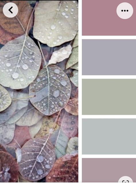 Pink Grey Green Colour Palette, Pink Grey Teal Color Palette, Mauve And Grey Bedroom Ideas, Colours That Match With Grey, Grey And Pink Color Scheme, Plum And Sage Color Palette, Mauve Grey Color Palette, Bedroom Green And Purple, Muted Color Scheme