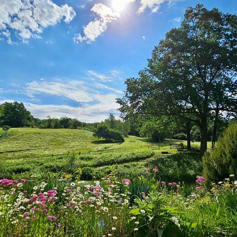 The most stunning Must-See Gardens in the northeast🌷⛲️ 1. Peggy Rockefeller Rose Garden 📍Bronx NY 2. Blithewold 📍 Bristol, Rhode Island 3. Elizabeth Park Garden📍West Hartford CT 4. Hollister House Garden📍 Washington, CT 5. Frelinghuysen Arboretum📍Morristown, NJ • • #connecticutliving #nybucketlist #nybg #botanicgarden #newengland #summergardens #rhodeisland #njgardens #explorect #exploreconnecticut #explorenj #exploreny Washington Ct, Master Manifestor, Bristol Rhode Island, Morristown Nj, Summer Aesthetics, London Summer, Hartford Ct, House Garden, Flowers Nature