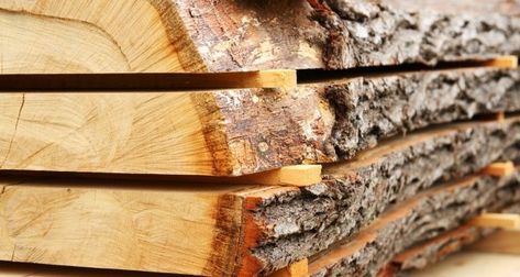 Coillte cancelled a yearly auction, normally held in October, at which sawmills bid for about half the wood they need for the succeeding year. Photograph: iStock Wood Arbor, Joist Hangers, Floating Bookshelves, Corrugated Roofing, Wood Waste, Project Steps, Arbour Day, Rain Barrel, Corrugated Metal