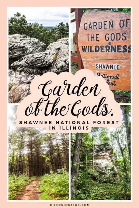 Garden Of The Gods Illinois, Illinois Hiking, Ozark National Forest, Daniel Boone National Forest, Shawnee National Forest, Illinois Travel, Tongass National Forest, Forest Poster, West Coast Trail