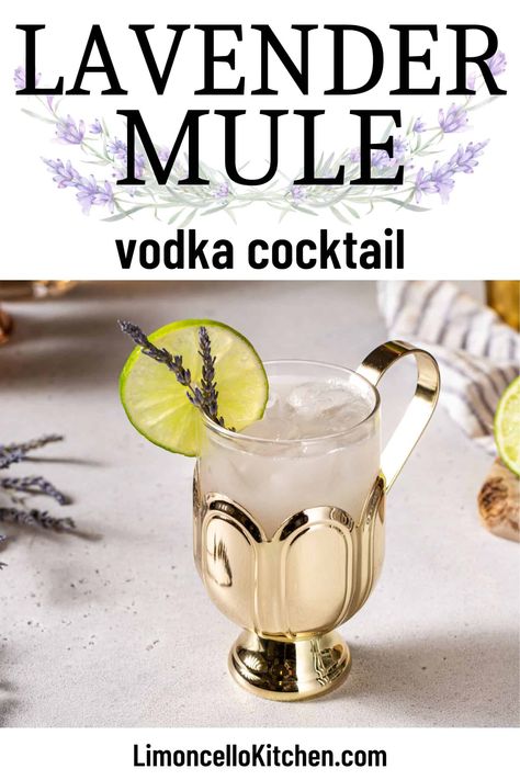 The Lavender Mule is a tasty floral version of a Moscow Mule vodka cocktail. This delicious drink combines lavender syrup with fresh lime and ginger beer. This is a perfect cocktail for springtime! You and your guests will love this easy to make and refreshing floral cocktail. Lavender Moscow Mule, Lavender Mule, Mulled White Wine, Mule Drink, Vodka Recipes Drinks, Lavender Cocktail, Moscow Mule Recipe, Lavender Recipes, Lavender And Lemon