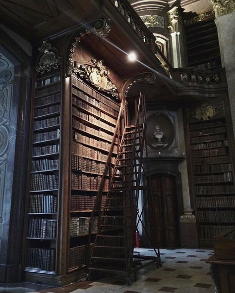 Malfoy Library, Gothic Old Money Aesthetic, Castle Halls, Dark Acadamia, Royal Core, Dream Library, Old Library, Library Aesthetic, Hogwarts Aesthetic