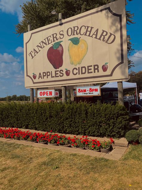 Orchard Aesthetic Vintage, Apple Farm Aesthetic, Apple Cider Aesthetic, Apple Jack Aesthetic, Brie Core, Apple Orchard Aesthetic, Mlp Moodboards, Orchard Aesthetic, Apple Picking Aesthetic